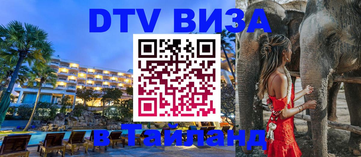 Оформление DTV визы под ключ: стоимость и тарифы, только загранпаспорт - 